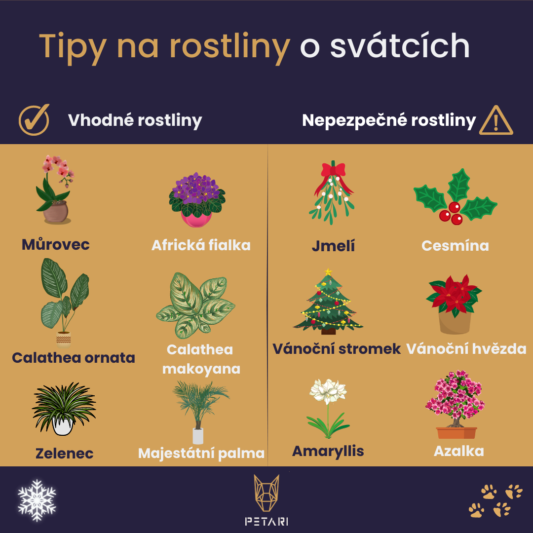 Vhodné rostliny